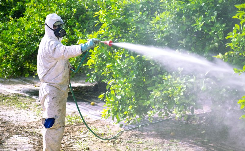 How Fumigation Works In Residential And Commercial Buildings