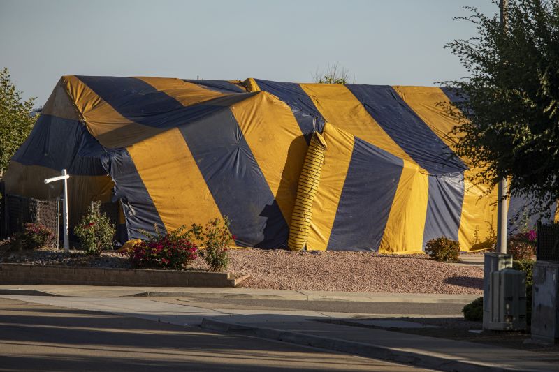 Tent Fumigation
