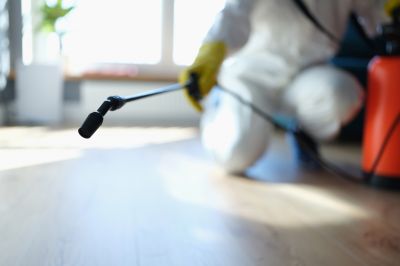 Experienced Pest Control Experts