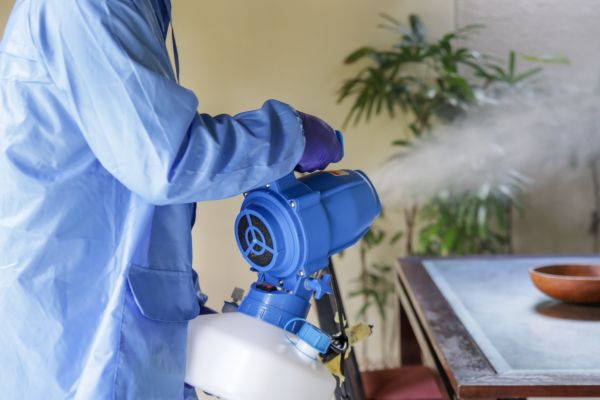 Tent Fumigation in Alexandria