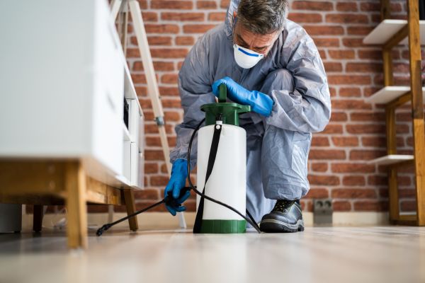 Pest Fumigation Service in Alexandria