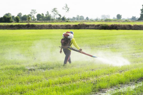 Commercial Fumigation in Alexandria